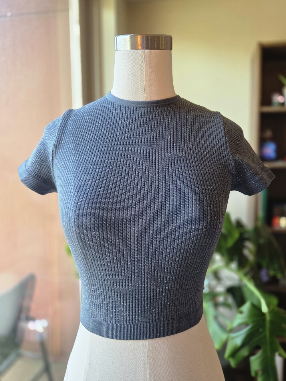 Wild Fable Sparkly Crop Top